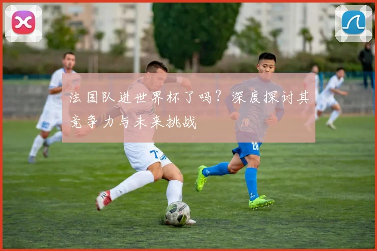 法国队进世界杯了吗?深度探讨其竞争力与未来挑战