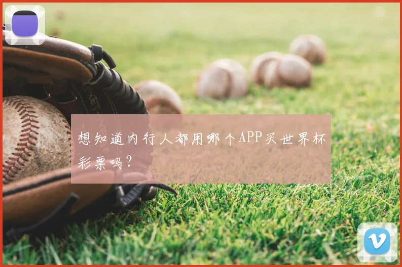 想知道内行人都用哪个APP买世界杯彩票吗?