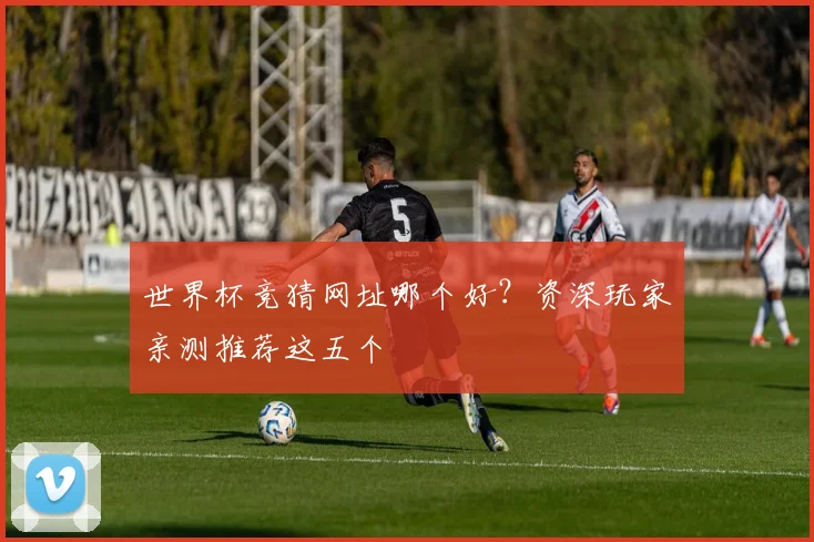 世界杯竞猜网址哪个好？资深玩家亲测推荐这五个