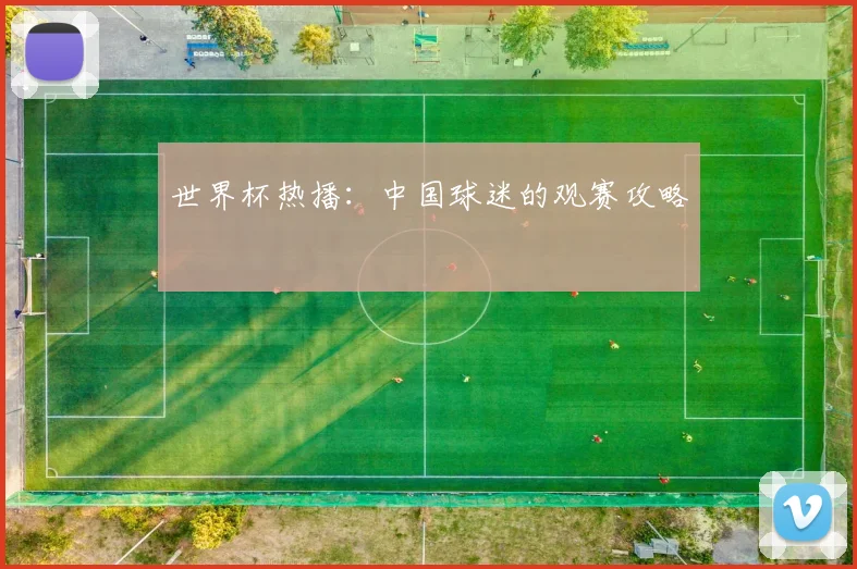 世界杯热播：中国球迷的观赛攻略
