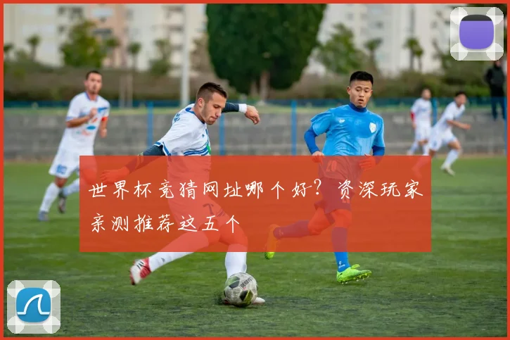 世界杯竞猜网址哪个好?资深玩家亲测推荐这五个