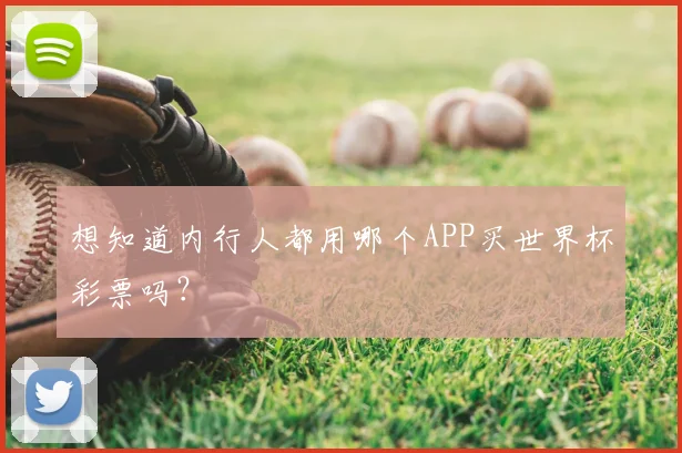 想知道内行人都用哪个APP买世界杯彩票吗？