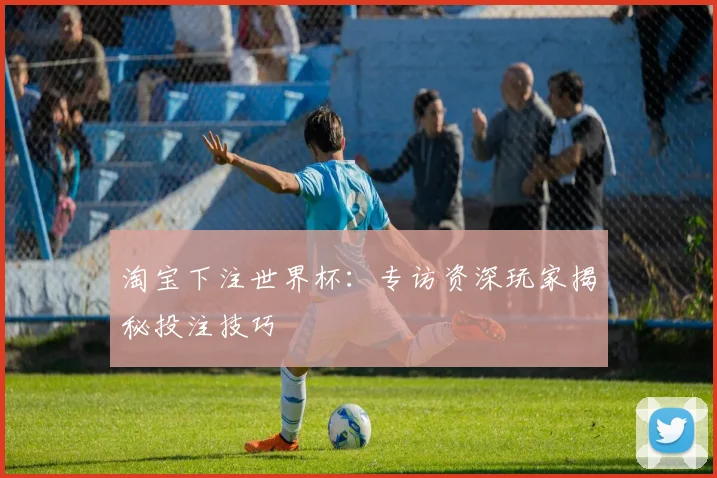 淘宝下注世界杯：专访资深玩家揭秘投注技巧