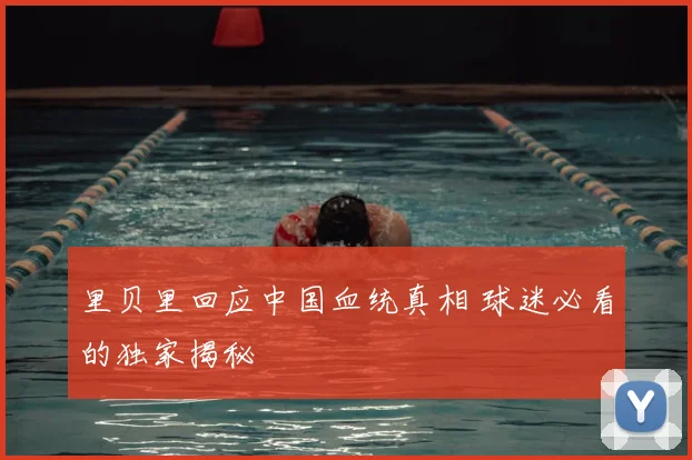 里贝里回应中国血统真相 球迷必看的独家揭秘