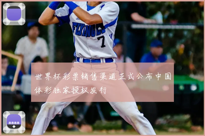 世界杯彩票销售渠道正式公布中国体彩独家授权发行